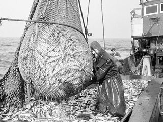 die nordstory Spezial - Fisch.Fang.Fernweh.