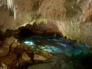 Die Weihnachtsinsel und der Palmendieb