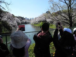 Der Meister des Zen-Gartens