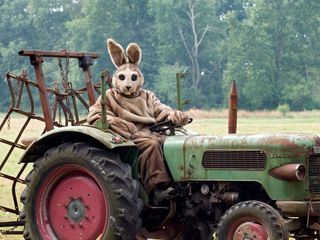 Neues aus Buettenwarder