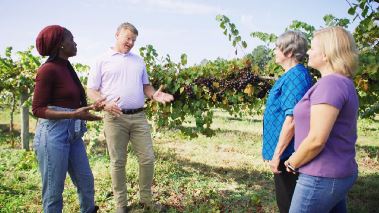 Homegrown - Aus Liebe zum Garten