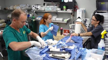 Tierarzt Dr. Jeff - Der Rocky Mountain Doc