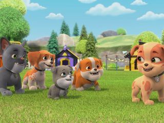Rubble & Crew Rubble & Crew