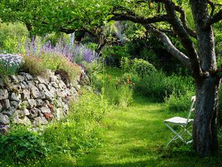Natur im Garten