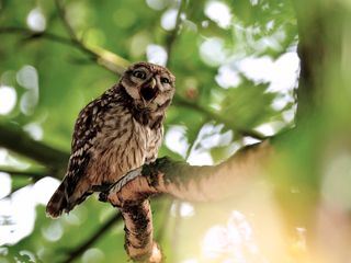 Die Rhoen - Naturschoenheiten im Land der offenen Fernen