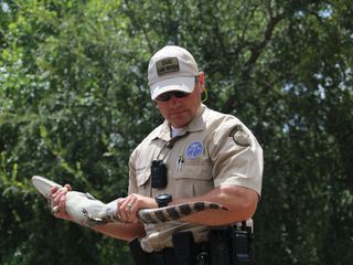 Lone Star Law - Die Gesetzeshueter von Texas