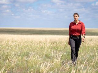 Terra X: Faszination Erde Terra X: Faszination Erde