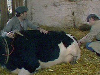 Tiere machen Leute