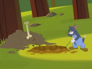Die Tom und Jerry Show
