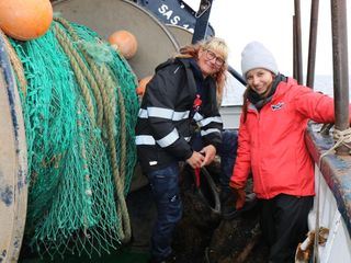CHECK IN - Marinas Raetsel-Abenteuer
