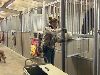 Wie geht das? Pferde verschicken