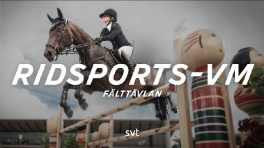 Ridsport: VM