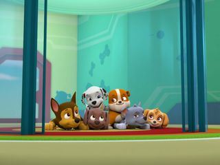Paw Patrol - Helfer auf vier Pfoten